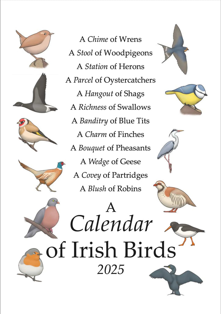 A Calendar of Irish Birds 2025, Joe Hollingsworth & OystercatcherTF