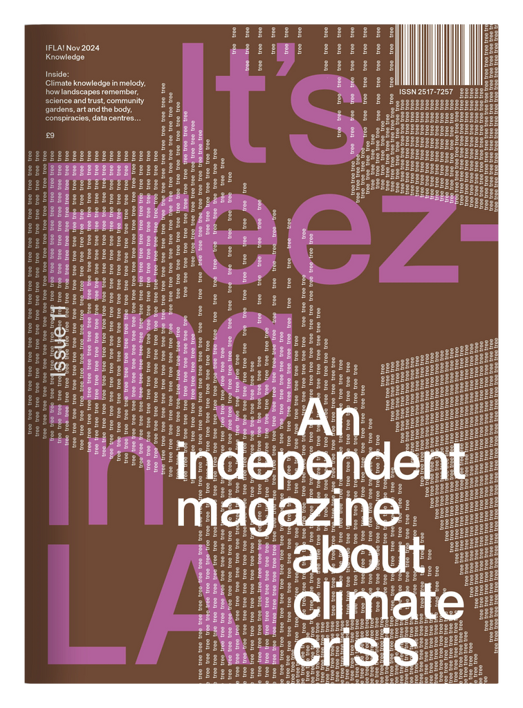 It's Freezing in LA! Issue 11