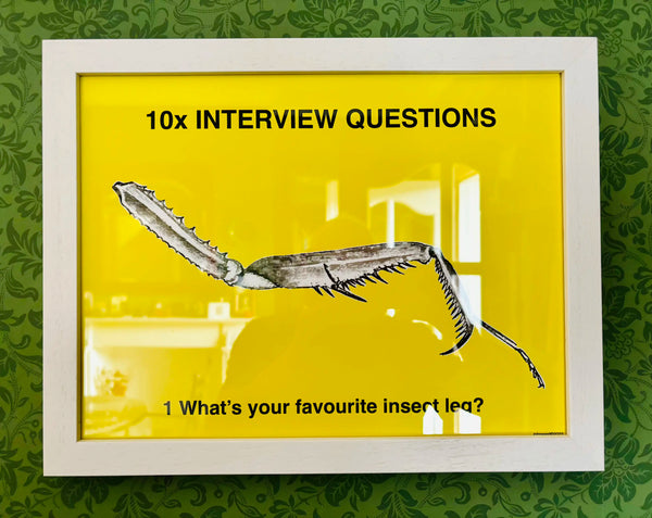 John Waid, What’s your favourite insect leg?