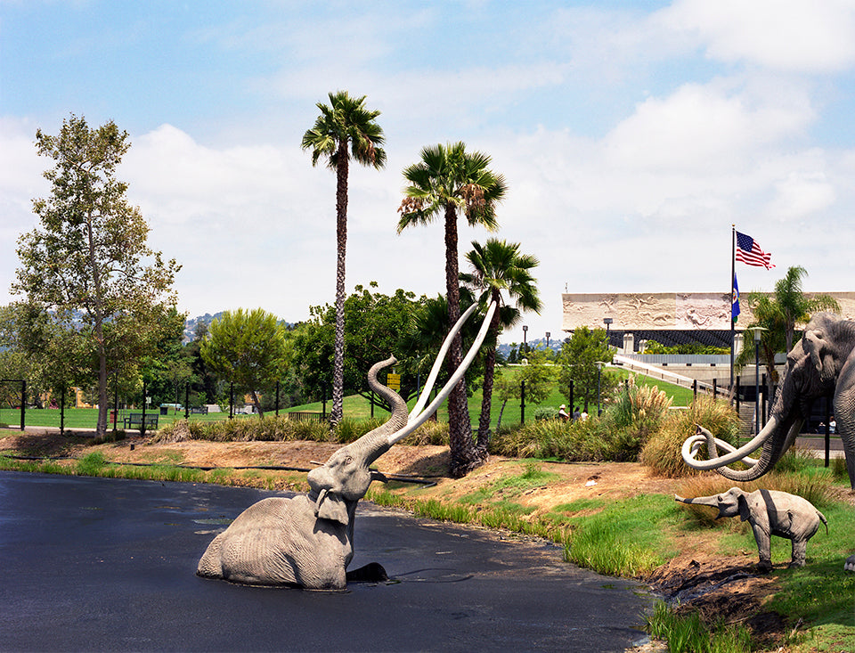 Fiona Hackett, La Brea Tar Pits