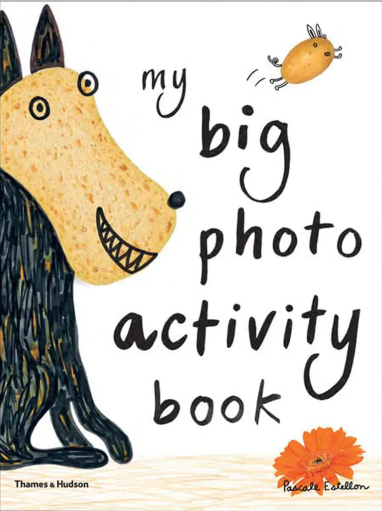 My Big Photo Activity Book, Pascale Estellon