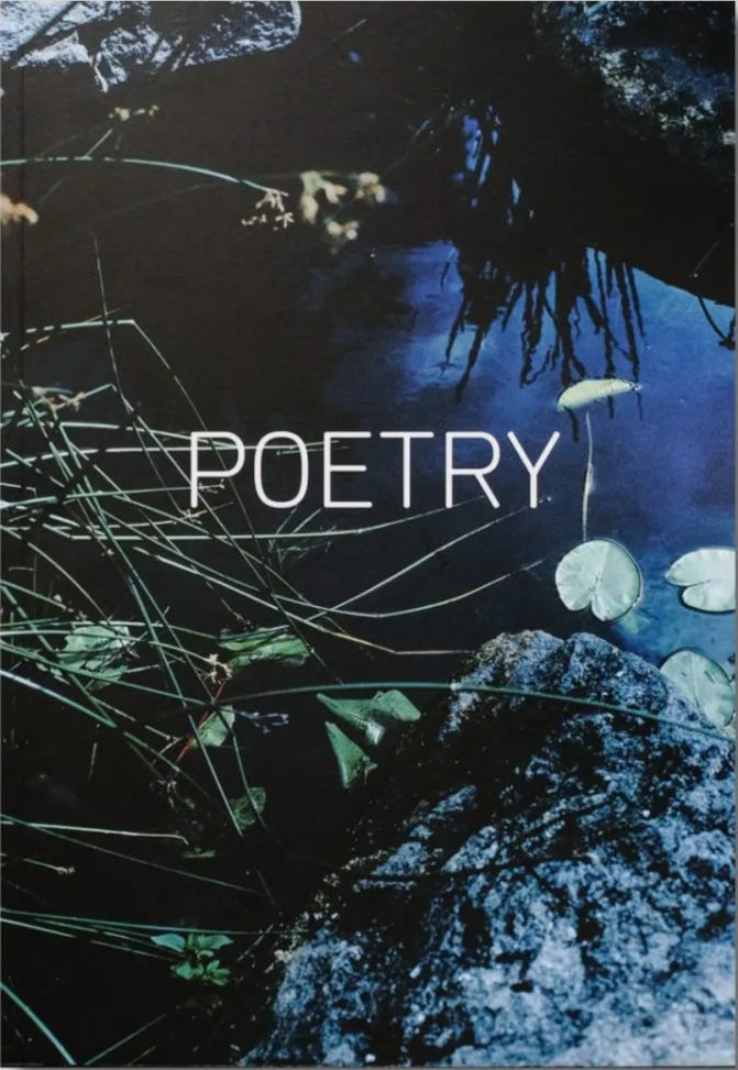 POETRY: A Shutter Hub Editions Publication