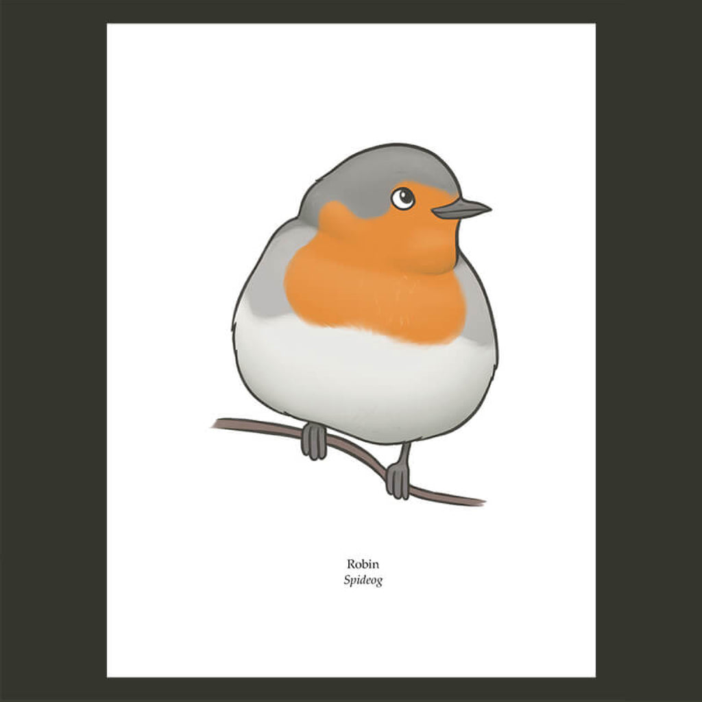 Robin Greeting Card, Joe Hollingsworth & OystercatcherTF