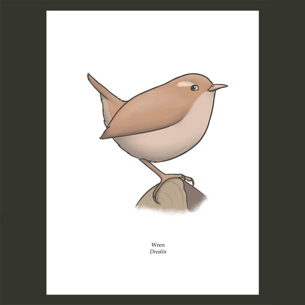 Wren Greeting Card, Joe Hollingsworth & OystercatcherTF